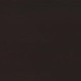 Casey Cappuccino 2-Drawer Rectangular TV Console by Coaster at Eve Furniture