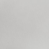 Cassia White High Gloss Eastern King LED Panel Bed by Coaster at Eve Furniture