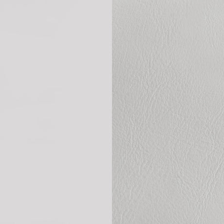 Cassia White High Gloss Queen LED Panel Bed by Coaster at Eve Furniture