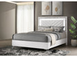 Cassia White High Gloss Queen LED Panel Bed by Coaster at Eve Furniture
