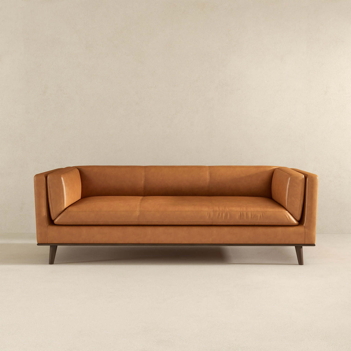 Light tan leather couch living room