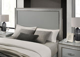 Cassiopeia Metallic Gray Queen Panel Bed by Furniture of America at Eve Furniture