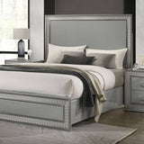 Cassiopeia Metallic Gray Queen Panel Bed by Furniture of America at Eve Furniture