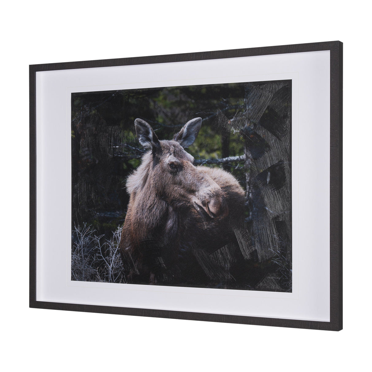 Cautious Gaze by Chad Mackay a Hand Embellished Framed Photo Art Print Matted under Glass by Mercana at Eve Furniture