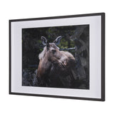 Cautious Gaze by Chad Mackay a Hand Embellished Framed Photo Art Print Matted under Glass by Mercana at Eve Furniture