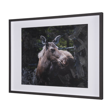 Cautious Gaze by Chad Mackay a Hand Embellished Framed Photo Art Print Matted under Glass by Mercana at Eve Furniture