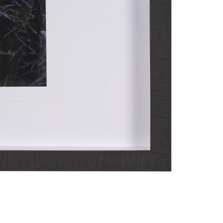 Cautious Gaze by Chad Mackay a Hand Embellished Framed Photo Art Print Matted under Glass by Mercana at Eve Furniture