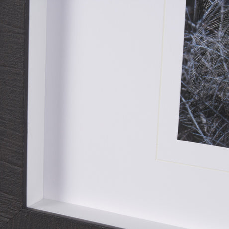 Cautious Gaze by Chad Mackay a Hand Embellished Framed Photo Art Print Matted under Glass by Mercana at Eve Furniture