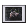 Cautious Gaze by Chad Mackay a Hand Embellished Framed Photo Art Print Matted under Glass by Mercana at Eve Furniture