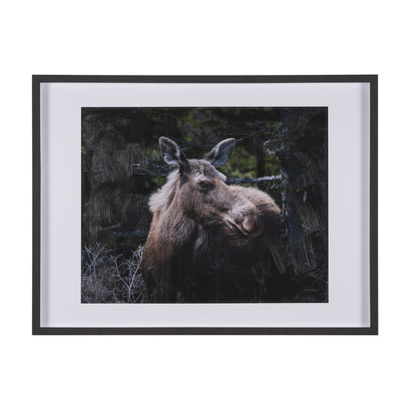 Cautious Gaze by Chad Mackay a Hand Embellished Framed Photo Art Print Matted under Glass by Mercana at Eve Furniture