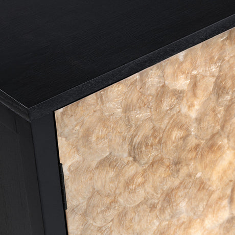 Cayman Black/Gold Capiz Shell 2 Door Cabinet by Crestview at Eve Furniture