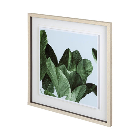 Celadon Palms I by Emma Scarvey a Framed Art Print Matted under Glass by Mercana at Eve Furniture