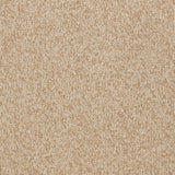 Celine Performance Boucle Dining Chair - Set of 2 by TOV Furniture at Eve Furniture