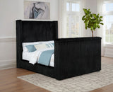 Centergrove Black Upholstered Queen Wingback TV Bed by Coaster at Eve Furniture