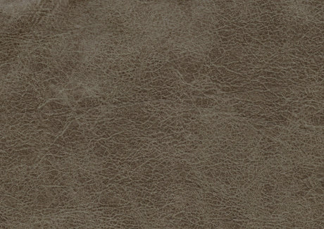 Centeroak Sandy Brown Double Reclining Sofa by Homelegance at Eve Furniture