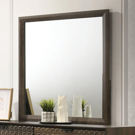 Chalfont Dark Brown Mirror by Furniture of America at Eve Furniture