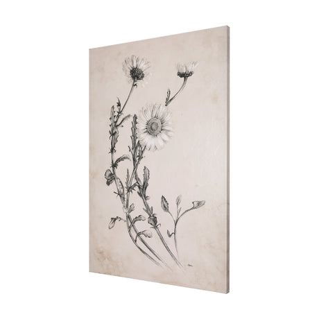 Chamomile Drawing I by Mercana Studio a Hand Embellished Textured Canvas by Mercana at Eve Furniture