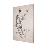 Chamomile Drawing I by Mercana Studio a Hand Embellished Textured Canvas by Mercana at Eve Furniture