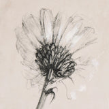 Chamomile Drawing I by Mercana Studio a Hand Embellished Textured Canvas by Mercana at Eve Furniture