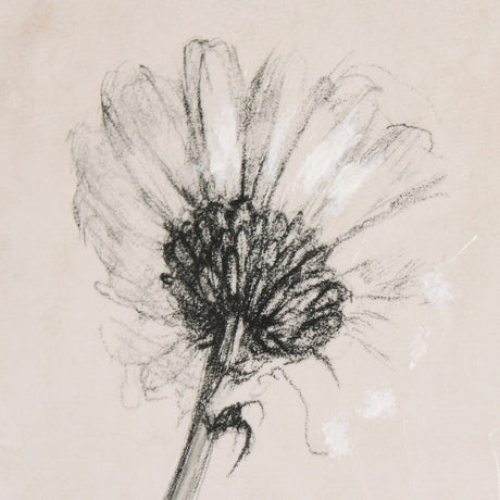 Chamomile Drawing I by Mercana Studio a Hand Embellished Textured Canvas by Mercana at Eve Furniture