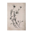 Chamomile Drawing I by Mercana Studio a Hand Embellished Textured Canvas by Mercana at Eve Furniture