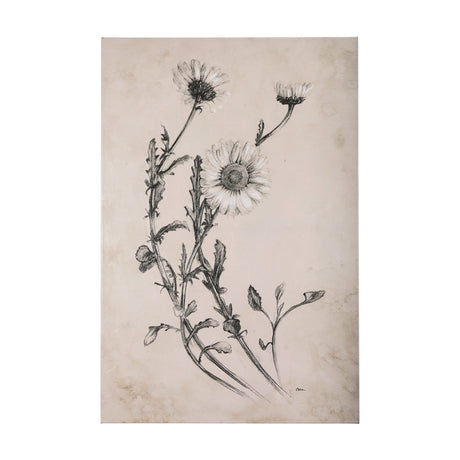Chamomile Drawing I by Mercana Studio a Hand Embellished Textured Canvas by Mercana at Eve Furniture