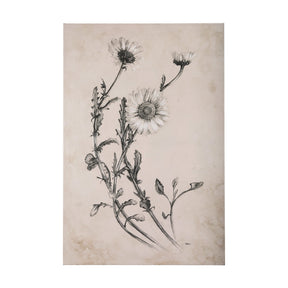 Chamomile Drawing I by Mercana Studio a Hand Embellished Textured Canvas by Mercana at Eve Furniture