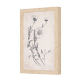 Chamomile Drawing I by Mercana Studio a Hand Embellished Textured Framed Art Print by Mercana at Eve Furniture