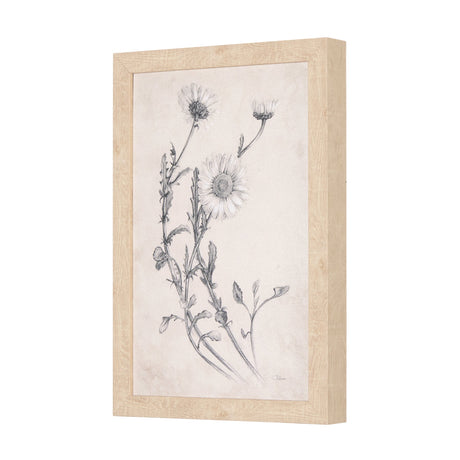 Chamomile Drawing I by Mercana Studio a Hand Embellished Textured Framed Art Print by Mercana at Eve Furniture