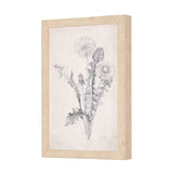Chamomile Drawing I by Mercana Studio a Hand Embellished Textured Framed Art Print by Mercana at Eve Furniture