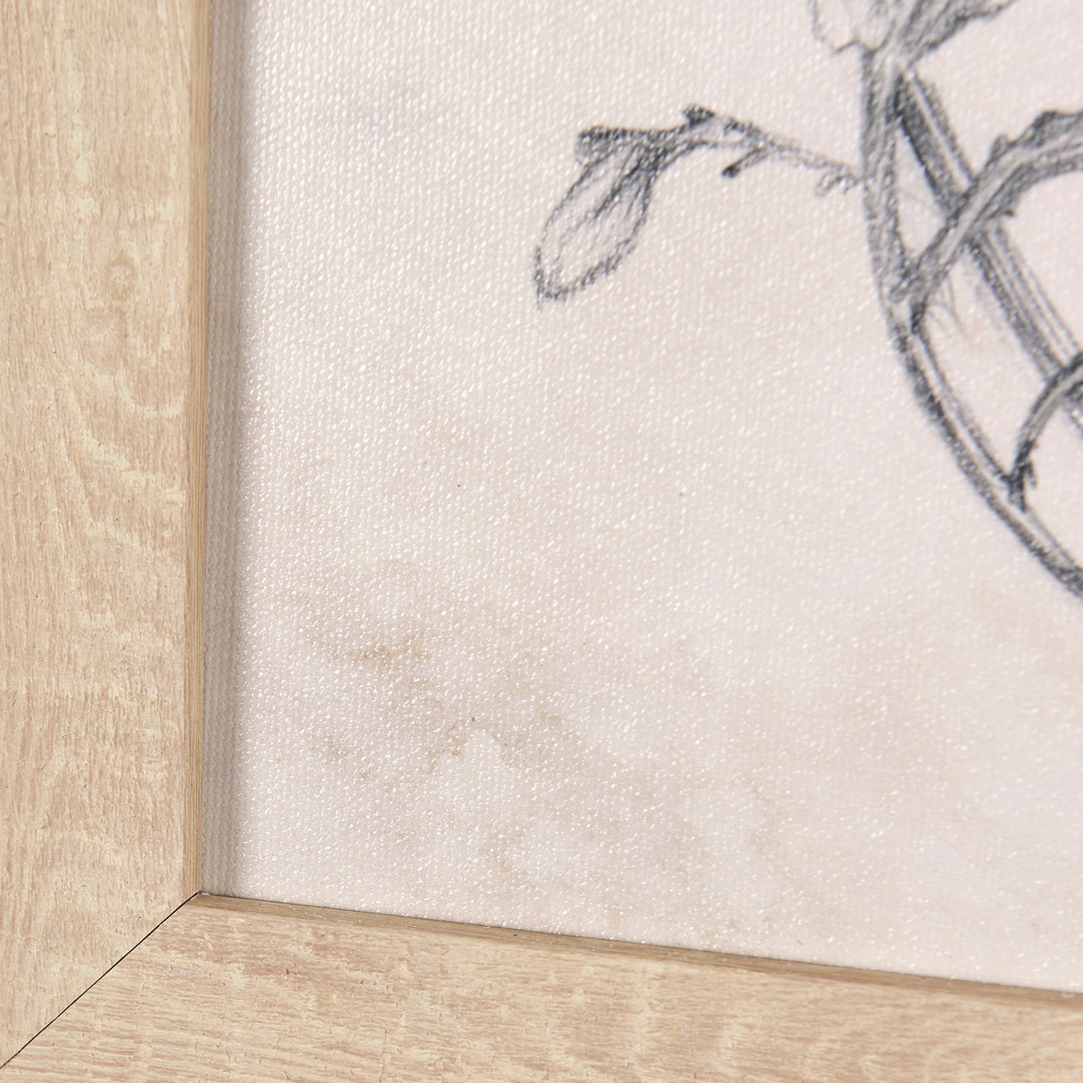 Chamomile Drawing I by Mercana Studio a Hand Embellished Textured Framed Art Print by Mercana at Eve Furniture