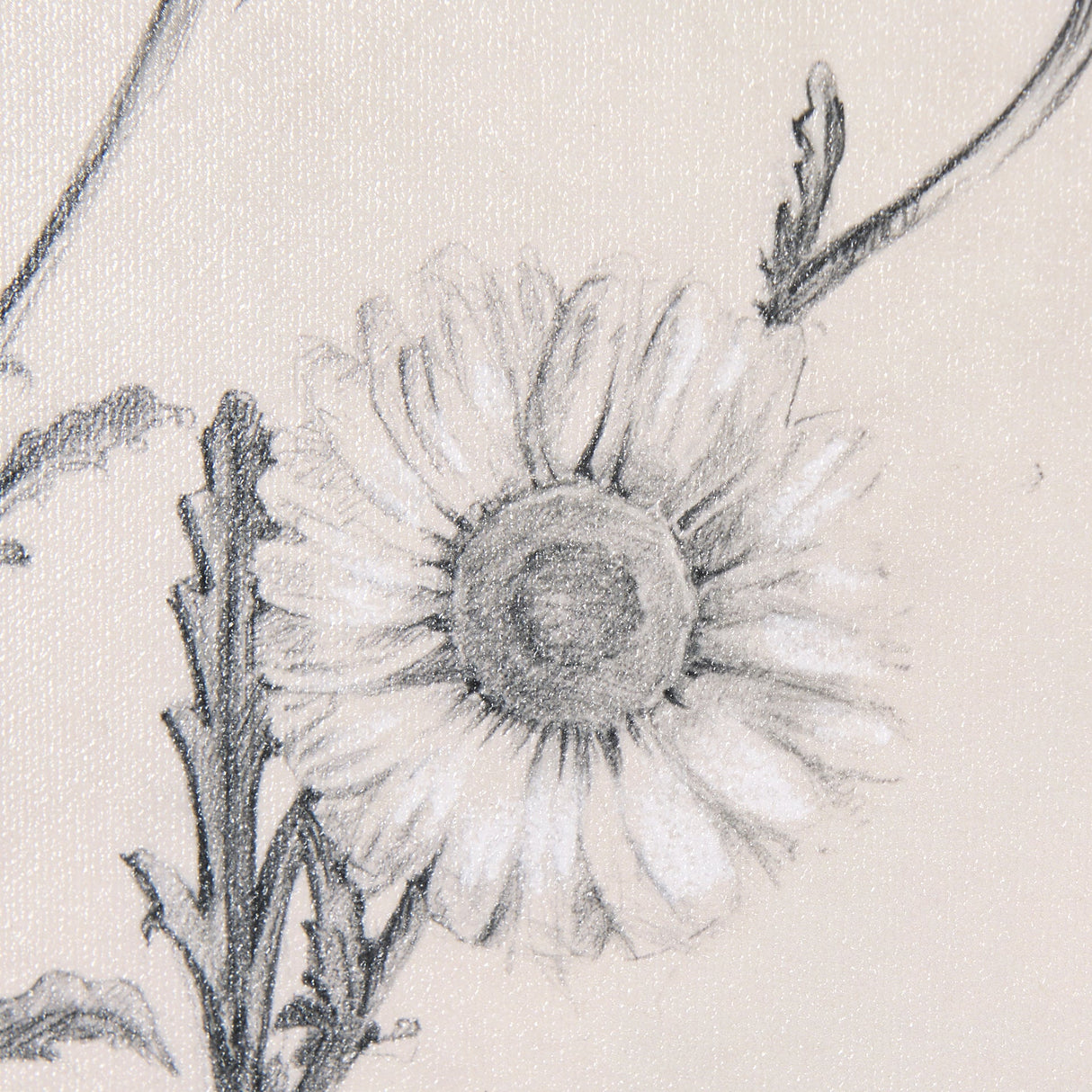 Chamomile Drawing I by Mercana Studio a Hand Embellished Textured Framed Art Print by Mercana at Eve Furniture