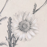 Chamomile Drawing I by Mercana Studio a Hand Embellished Textured Framed Art Print by Mercana at Eve Furniture