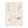 Chamomile Drawing I by Mercana Studio a Hand Embellished Textured Framed Art Print by Mercana at Eve Furniture