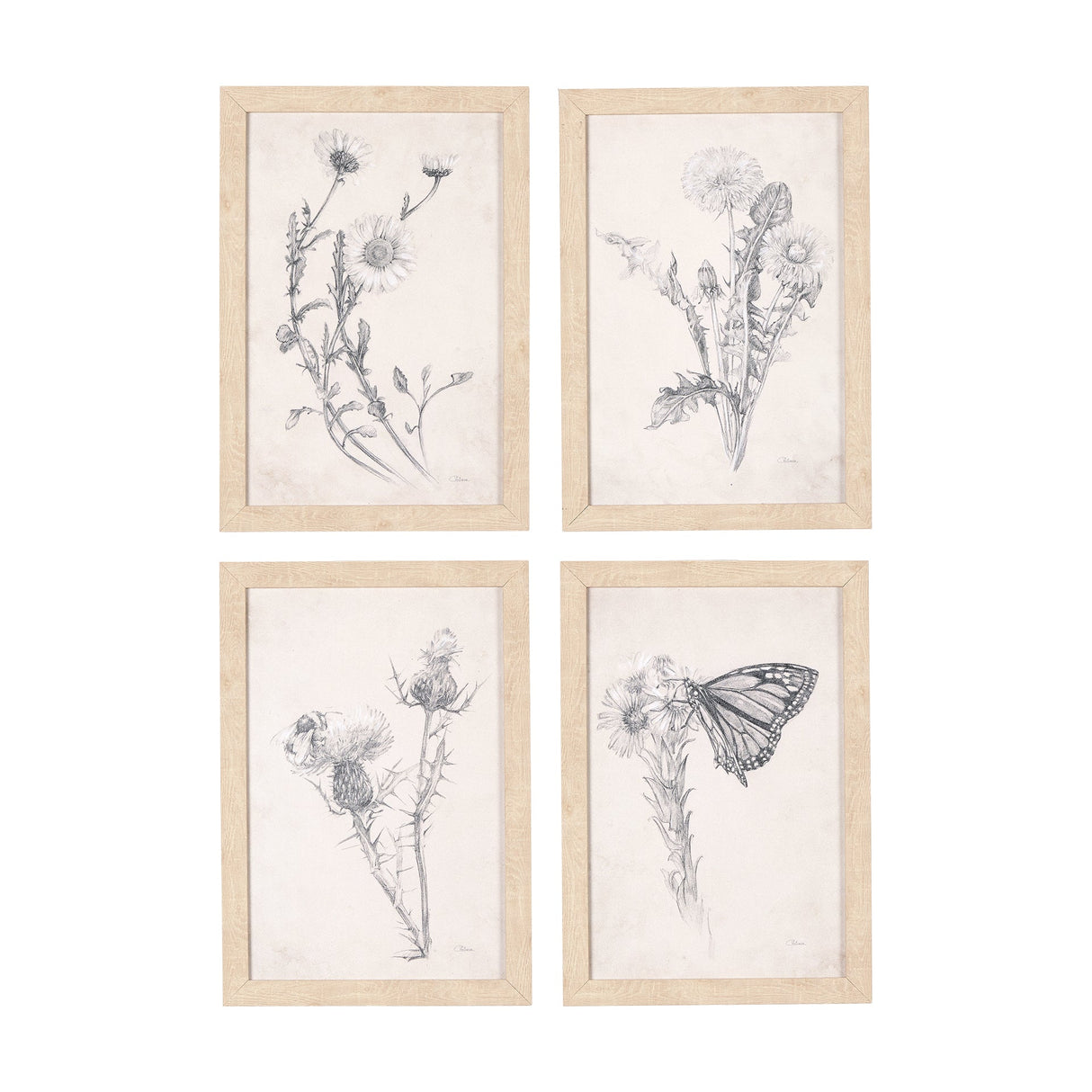 Chamomile Drawing I by Mercana Studio a Hand Embellished Textured Framed Art Print by Mercana at Eve Furniture
