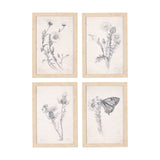 Chamomile Drawing I by Mercana Studio a Hand Embellished Textured Framed Art Print by Mercana at Eve Furniture