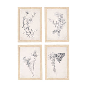 Chamomile Drawing I by Mercana Studio a Hand Embellished Textured Framed Art Print by Mercana at Eve Furniture