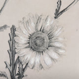 Chamomile Drawing I by Mercana Studio Hand Embellished Textured Framed Art Print Matted under Glass by Mercana at Eve Furniture