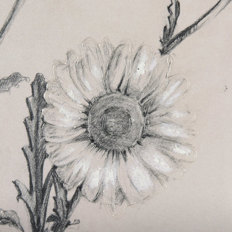 Chamomile Drawing I by Mercana Studio Hand Embellished Textured Framed Art Print Matted under Glass by Mercana at Eve Furniture