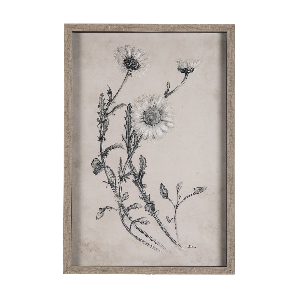Chamomile Drawing I by Mercana Studio Hand Embellished Textured Framed Art Print Matted under Glass by Mercana at Eve Furniture
