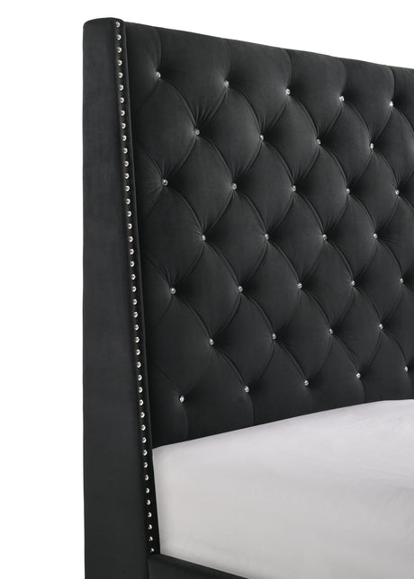 Chantilly Black Velvet King Upholstered Bed by Crown Mark at Eve Furniture