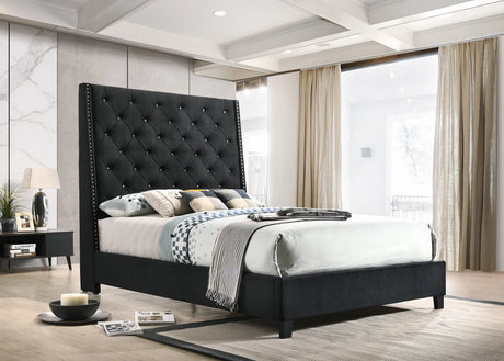 Chantilly Black Velvet Queen Upholstered Bed by Crown Mark at Eve Furniture