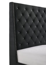 Chantilly Black Velvet Queen Upholstered Bed by Crown Mark at Eve Furniture