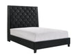 Chantilly Black Velvet Queen Upholstered Bed by Crown Mark at Eve Furniture