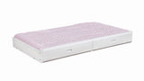Chapman White Wood Storage Trundle by Coaster at Eve Furniture