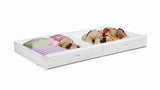 Chapman White Wood Storage Trundle by Coaster at Eve Furniture