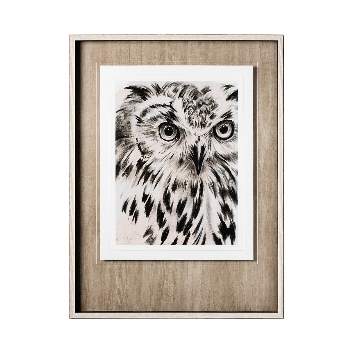 Charcoal Owl I by Jennifer Paxton Parker a Framed Art Print Matted under Glass by Mercana at Eve Furniture