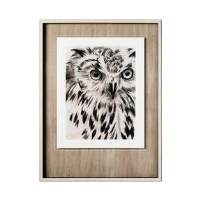 Charcoal Owl I by Jennifer Paxton Parker a Framed Art Print Matted under Glass by Mercana at Eve Furniture