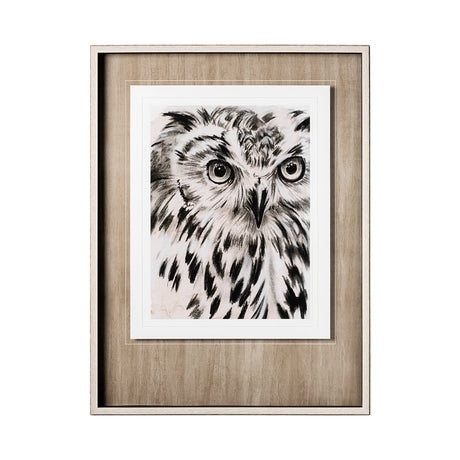 Charcoal Owl I by Jennifer Paxton Parker a Framed Art Print Matted under Glass by Mercana at Eve Furniture