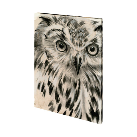 Charcoal Owl I by Jennifer Paxton Parker a Hand Embellished Textured Canvas by Mercana at Eve Furniture